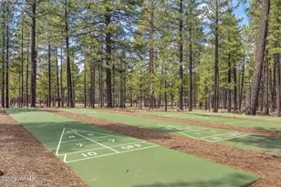 3456 Turkey Track Rd, Pinetop, AZ 85935 - Photo 54