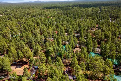 3456 Turkey Track Road, Pinetop, AZ 85935 - Photo 38