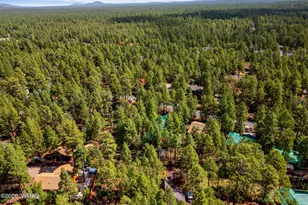 3456 Turkey Track Rd, Pinetop, AZ 85935 - Photo 38