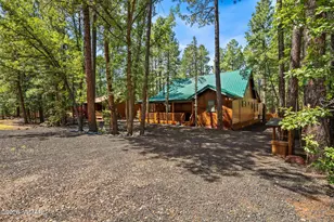 3456 Turkey Track Rd, Pinetop, AZ 85935 - Photo 34