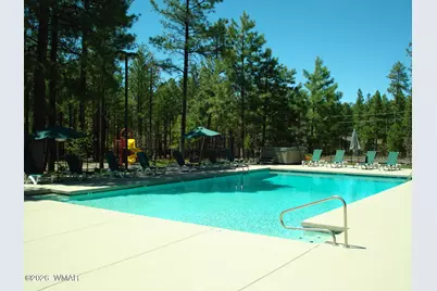 3456 Turkey Track Road, Pinetop, AZ 85935 - Photo 56