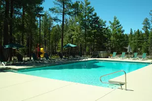 3456 Turkey Track Rd, Pinetop, AZ 85935 - Photo 56