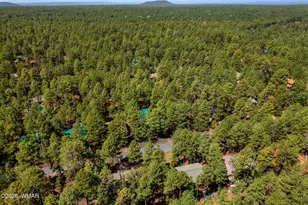 3456 Turkey Track Rd, Pinetop, AZ 85935 - Photo 36