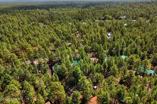 3456 Turkey Track Rd, Pinetop, AZ 85935 - Photo 38