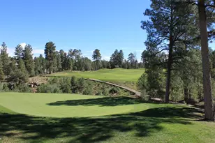 3150 W Black Oak Loop, Show Low, AZ 85901 - Photo 46