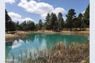 3150 W Black Oak Loop, Show Low, AZ 85901 - Photo 44