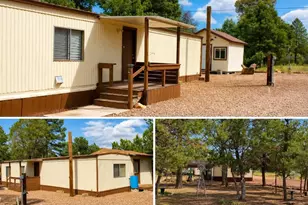 2115 Fishermans Rd, Overgaard, AZ 85933 - Photo 22