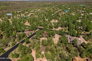2253 Cross Country Rd, Overgaard, AZ 85933 - Photo 34