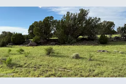 78 8006, Concho, AZ 85924 - Photo 10