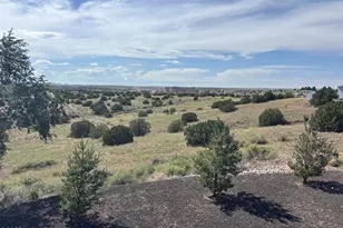 1099 S Kellis Blvd, Snowflake, AZ 85937 - Photo 24