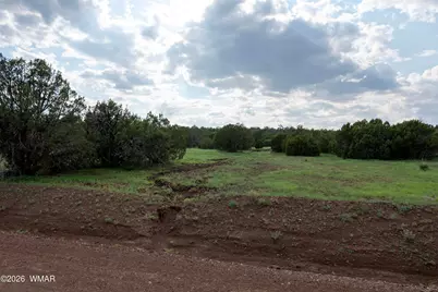 6 County Road 3195, Vernon, AZ 85940 - Photo 2