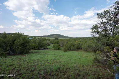 6 County Road 3195, Vernon, AZ 85940 - Photo 1