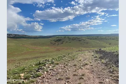 1292 County Road, Concho, AZ 85924 - Photo 8