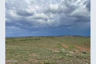 1292 County Road, Concho, AZ 85924 - Photo 2