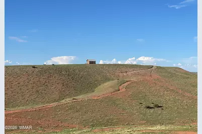 1292 County Road, Concho, AZ 85924 - Photo 10