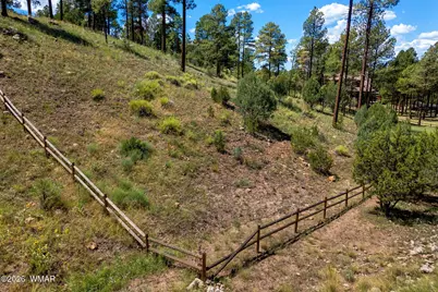 2294 Constellation Lane, Overgaard, AZ 85933 - Photo 16