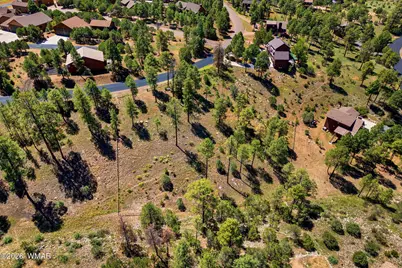 2294 Constellation Lane, Overgaard, AZ 85933 - Photo 10