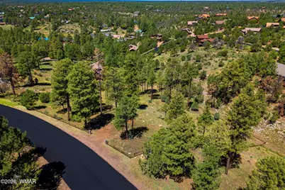 2294 Constellation Lane, Overgaard, AZ 85933 - Photo 14