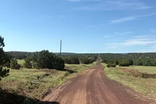 82 County Road 8230 Rd, Concho, AZ 85924 - Photo 1