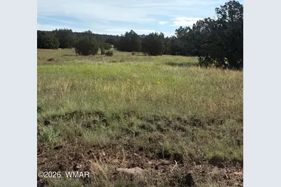 82 County Road 8230 Road, Concho, AZ 85924 - Photo 4
