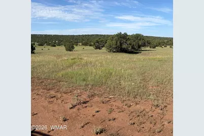 80 County Road, Concho, AZ 85924 - Photo 2