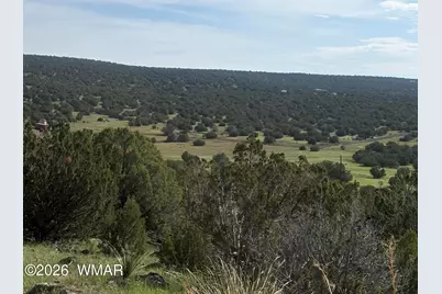 80 County Road, Concho, AZ 85924 - Photo 1