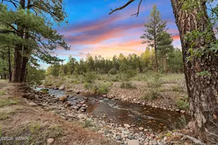 5533 Deer Run, Pinedale, AZ 85934 - Photo 2