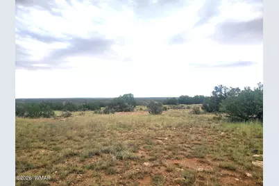5075 Sidlyn Road, Heber, AZ 85928 - Photo 10