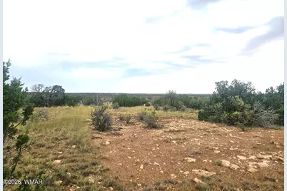 5075 Sidlyn Road, Heber, AZ 85928 - Photo 8