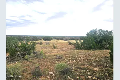 5075 Sidlyn Road, Heber, AZ 85928 - Photo 1