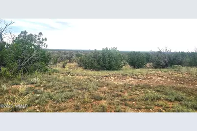 5075 Sidlyn Road, Heber, AZ 85928 - Photo 12