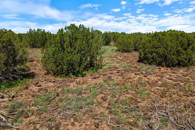 9104 Gample Lane, Show Low, AZ 85901 - Photo 20