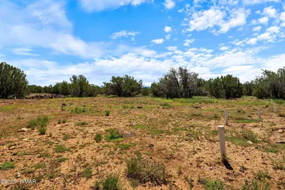 9104 Gample Lane, Show Low, AZ 85901 - Photo 26