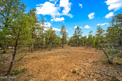 4401 W Shaggy Bark Road, Show Low, AZ 85901 - Photo 20