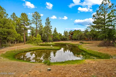 4401 W Shaggy Bark Road, Show Low, AZ 85901 - Photo 24