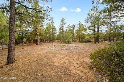 4401 W Shaggy Bark Road, Show Low, AZ 85901 - Photo 18