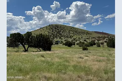 31 County Road 5203, Unit 31 #31, Concho, AZ 85924 - Photo 1