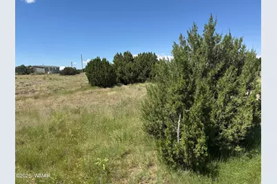 20 County Road 5203, Concho, AZ 85924 - Photo 2
