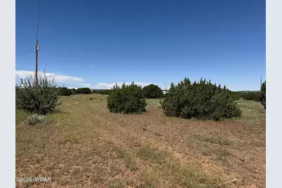 20 County Road 5203, Concho, AZ 85924 - Photo 4