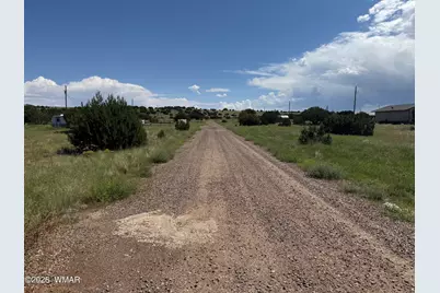 20 County Road 5203, Concho, AZ 85924 - Photo 6