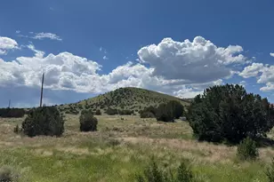 20 County Road 5203, Concho, AZ 85924 - Photo 1