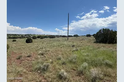 103 Cr 5202, Concho, AZ 85924 - Photo 4