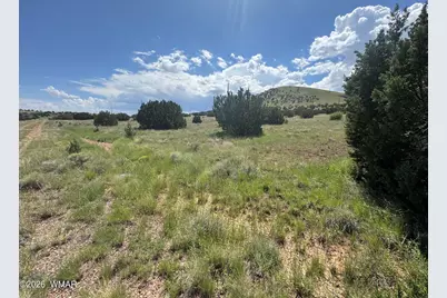 103 Cr 5202, Concho, AZ 85924 - Photo 2