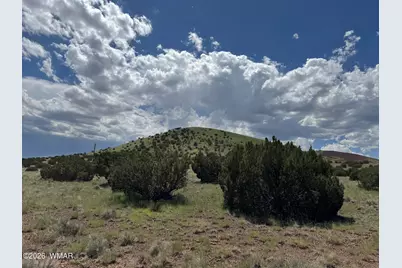 119 County Road 5106, Concho, AZ 85924 - Photo 1