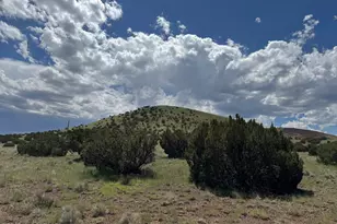 119 County Road 5106, Concho, AZ 85924 - Photo 1