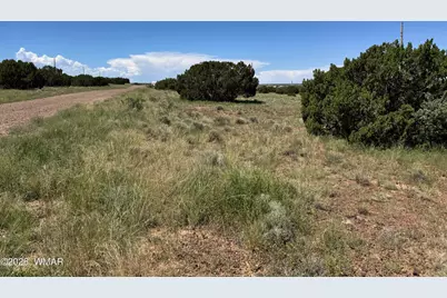 119 County Road 5106, Concho, AZ 85924 - Photo 2