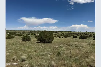168 Cr 5201, Concho, AZ 85924 - Photo 6