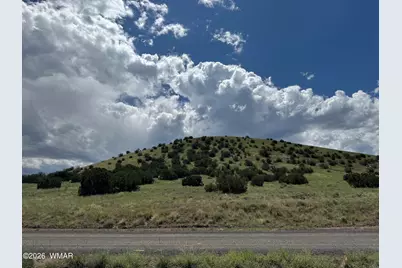168 Cr 5201, Concho, AZ 85924 - Photo 2