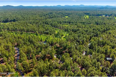 3606 Aspen Lane, Pinetop, AZ 85935 - Photo 42