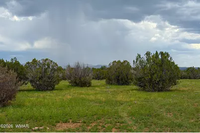 0 E Gample Ln. 39 Acres, Show Low, AZ 85901 - Photo 14